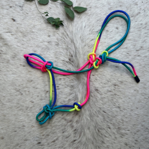 rainbow rope halter