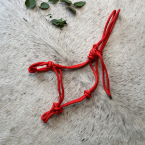 rope halter red only