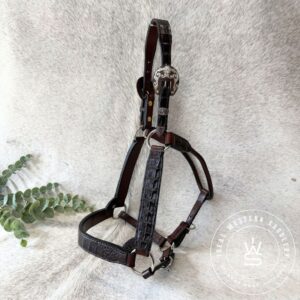 kathy s caiman halter.jpg